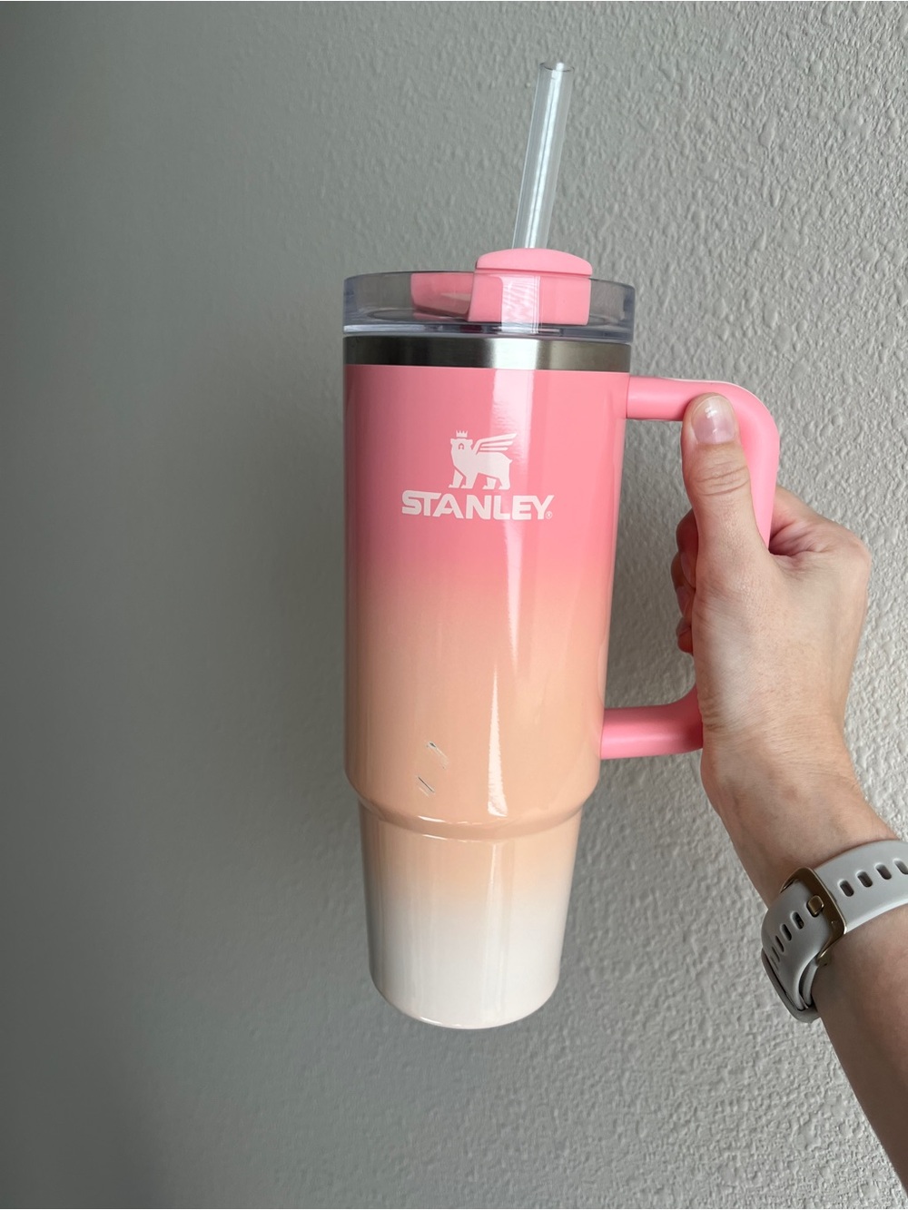 Stanley Quencher Pink Sunset Mesa 30 oz  - Read Description